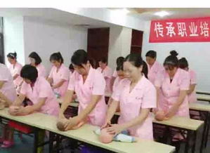 河間月嫂傳承家政服務公司 專業守護，傳承溫暖，打造貼心家政服務